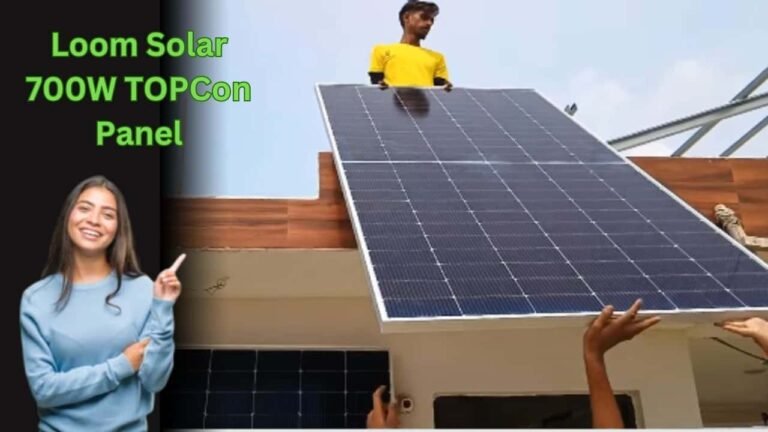 loom 700w topcon panel run full load